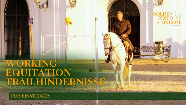 Working Equitation Trailhindernisse für Einsteiger