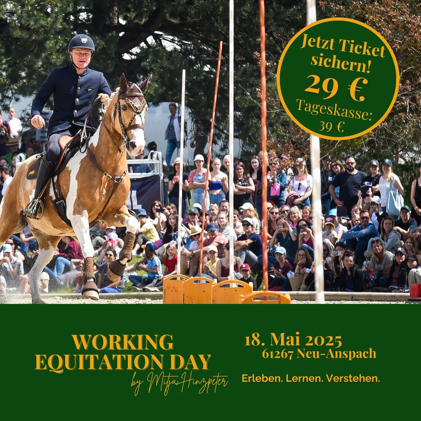 Working Equitation Day