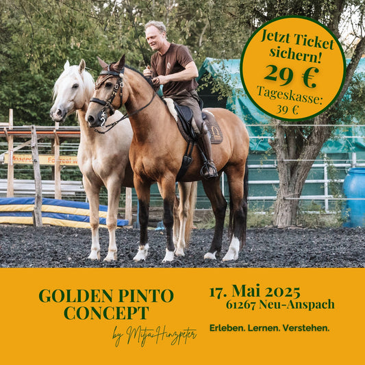 Golden Pinto Concept