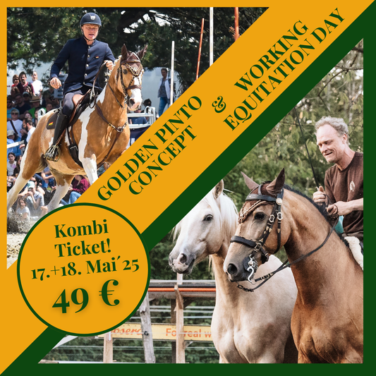 Kombi Ticket Golden Pinto Concept & Working Equitation Day