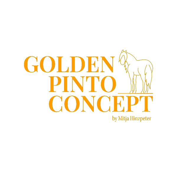 Golden Pinto Concept by Minja Hintzpeter