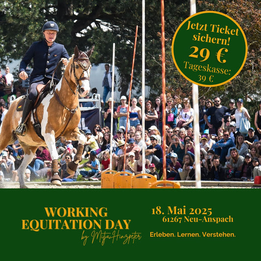 Working Equitation Day